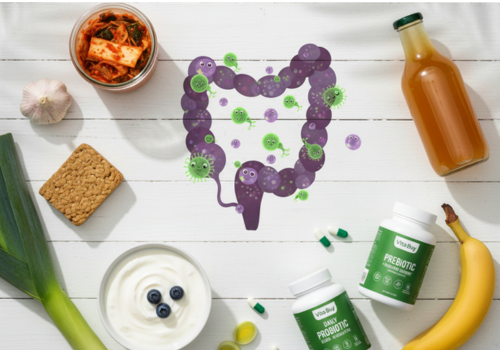 Probiotics and Gut Health: The Foundation of Well-being